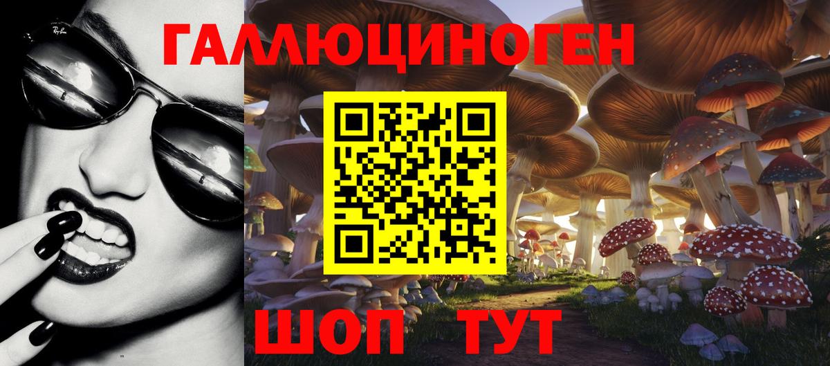Галлюциногенные грибы Psilocybe  Вход с VPN  Лесной  Галлюциногенные грибы мухоморы 